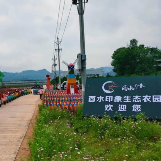 图片 图片